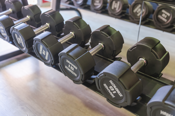 un gimnasio con mancuernas y una cinta de correr