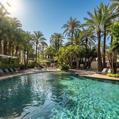 a large swimming pool surrounded by palm trees and chairs