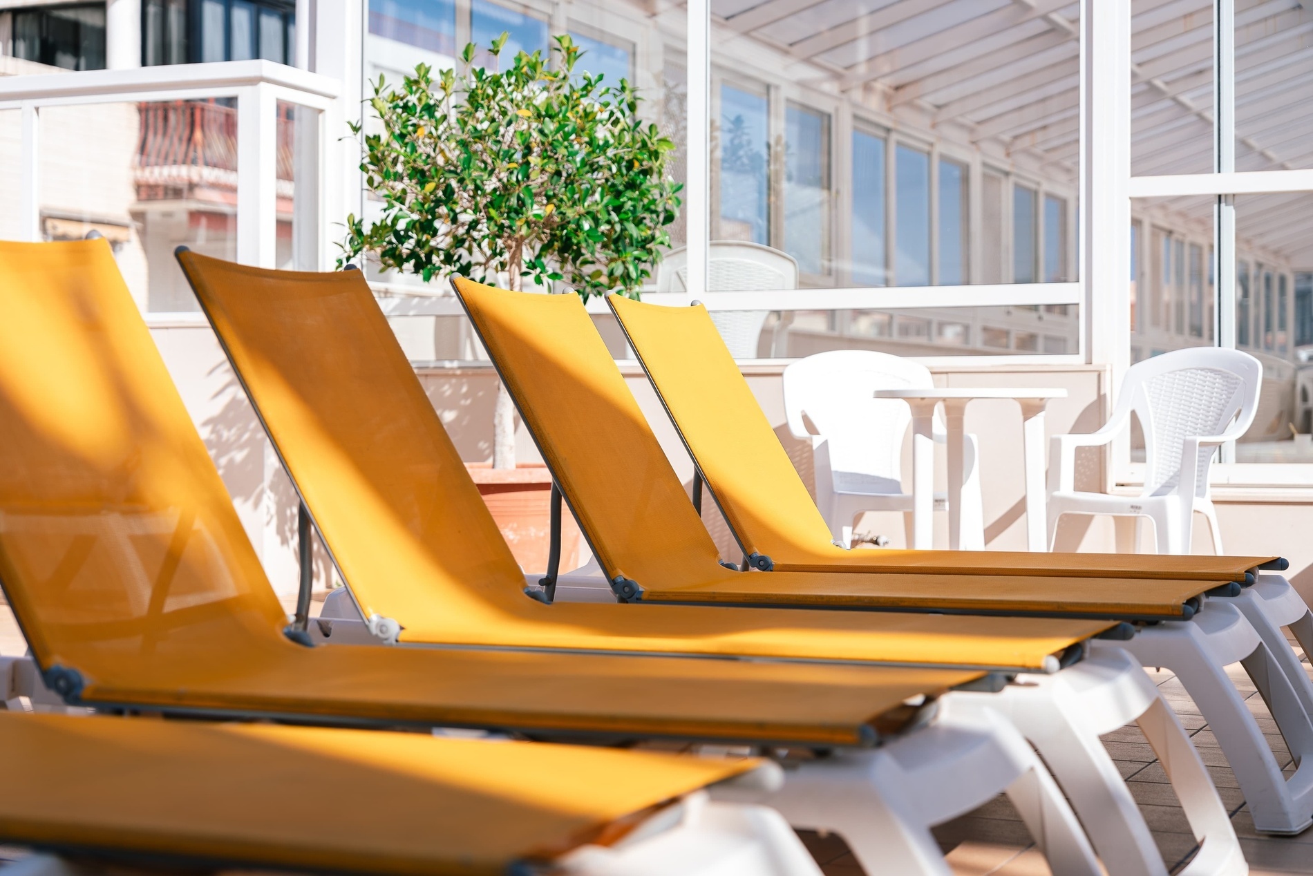 a row of yellow lounge chairs in front of a window