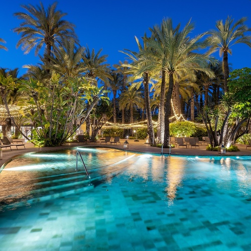 a large swimming pool surrounded by palm trees at night