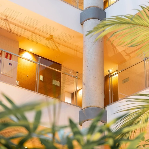 un edificio de oficinas con una planta en primer plano