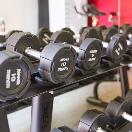 a row of hammer strength dumbbells in a gym