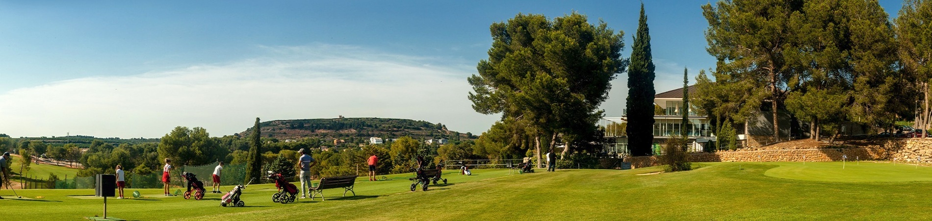 a group of people are playing golf on a lush green field