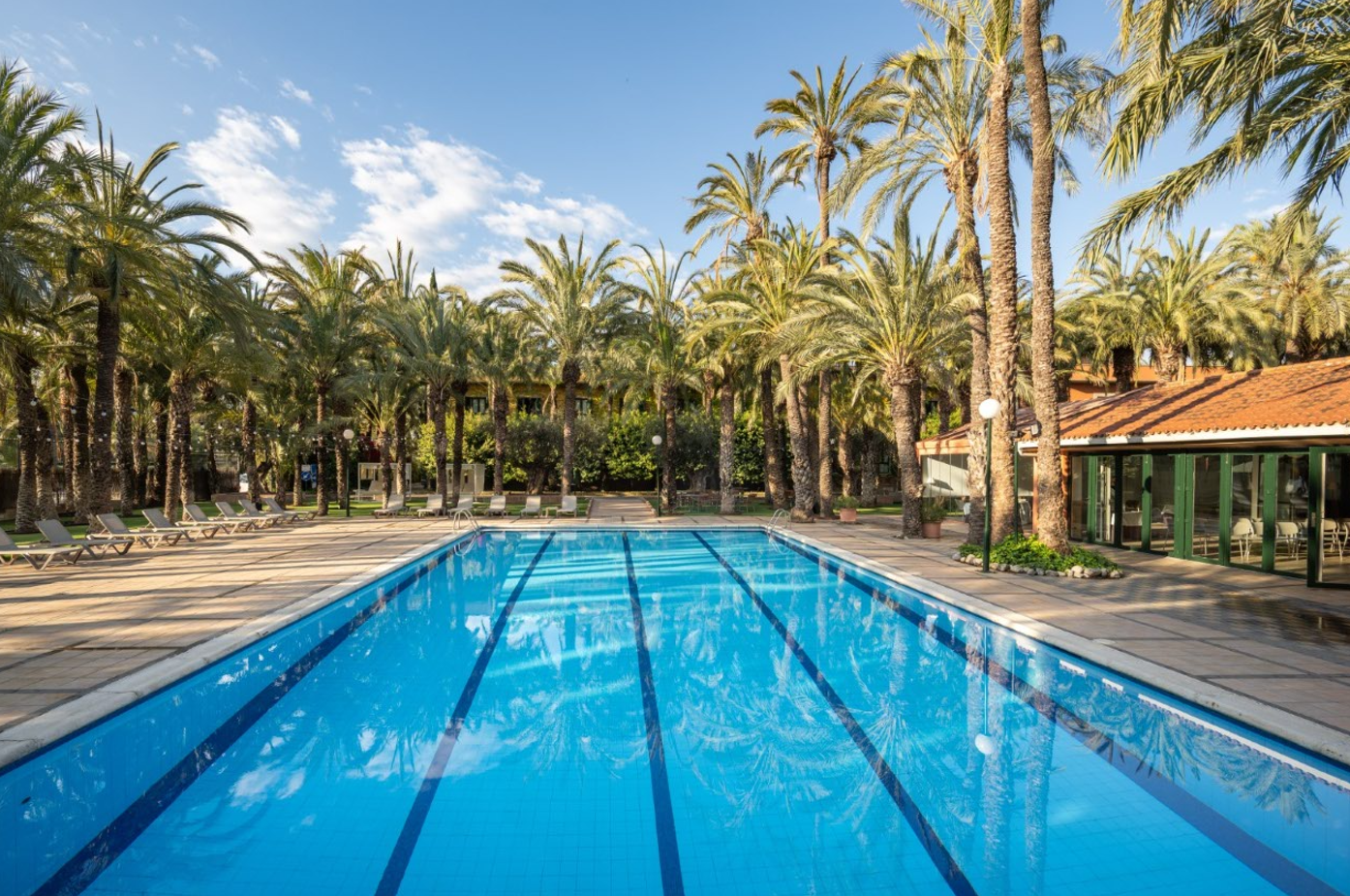 Una amplia piscina azul al aire libre está rodeada por un denso palmeral y un edificio con techo de teja roja bajo un cielo parcialmente nublado.