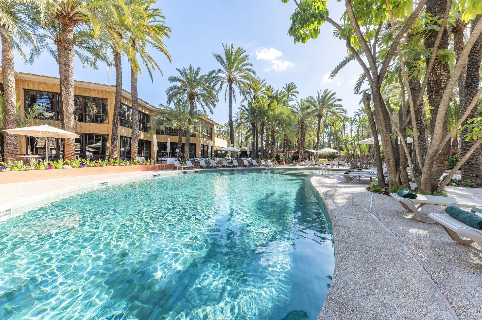 a large swimming pool surrounded by palm trees and chairs