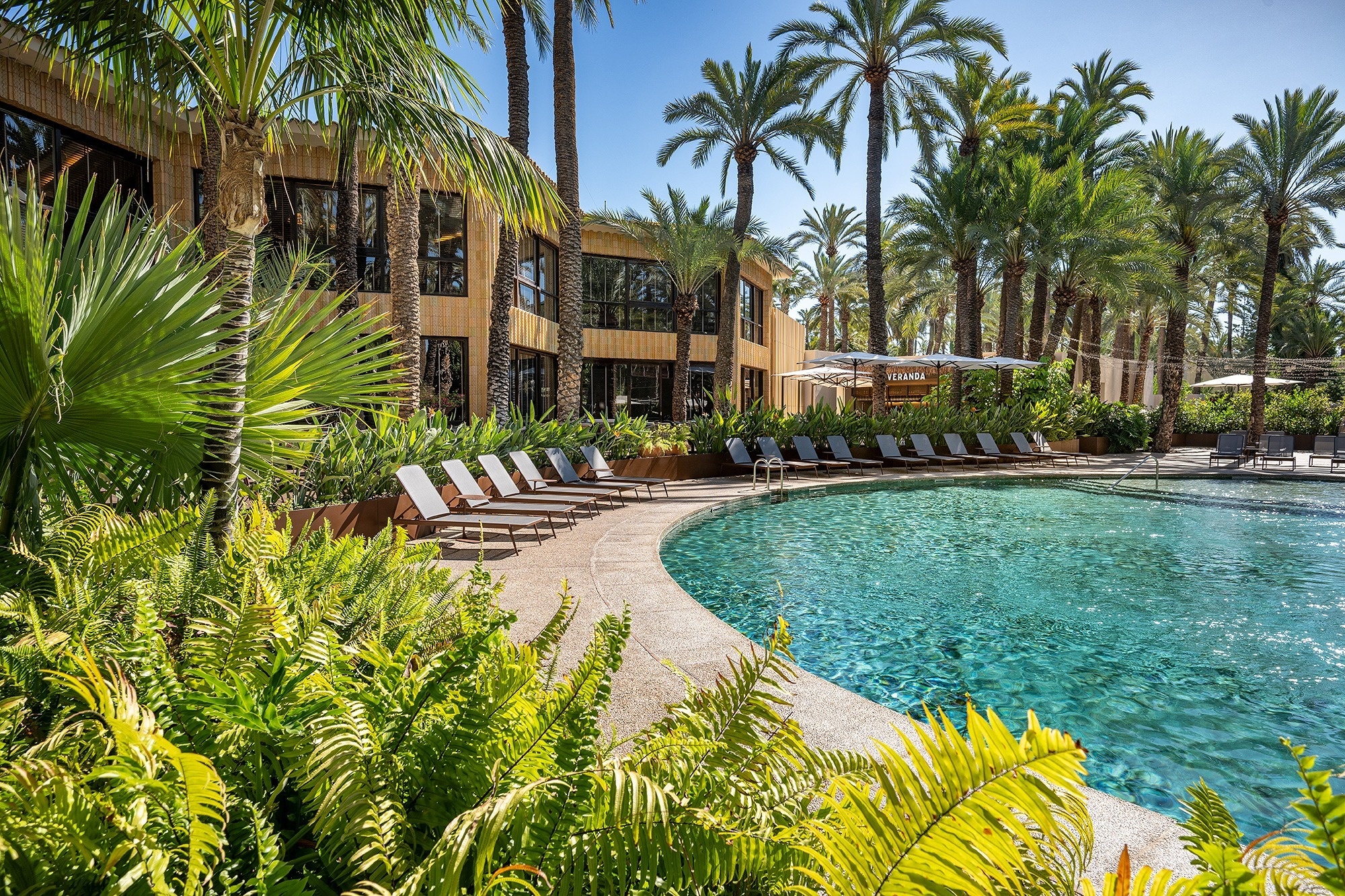 a large swimming pool is surrounded by palm trees and chairs