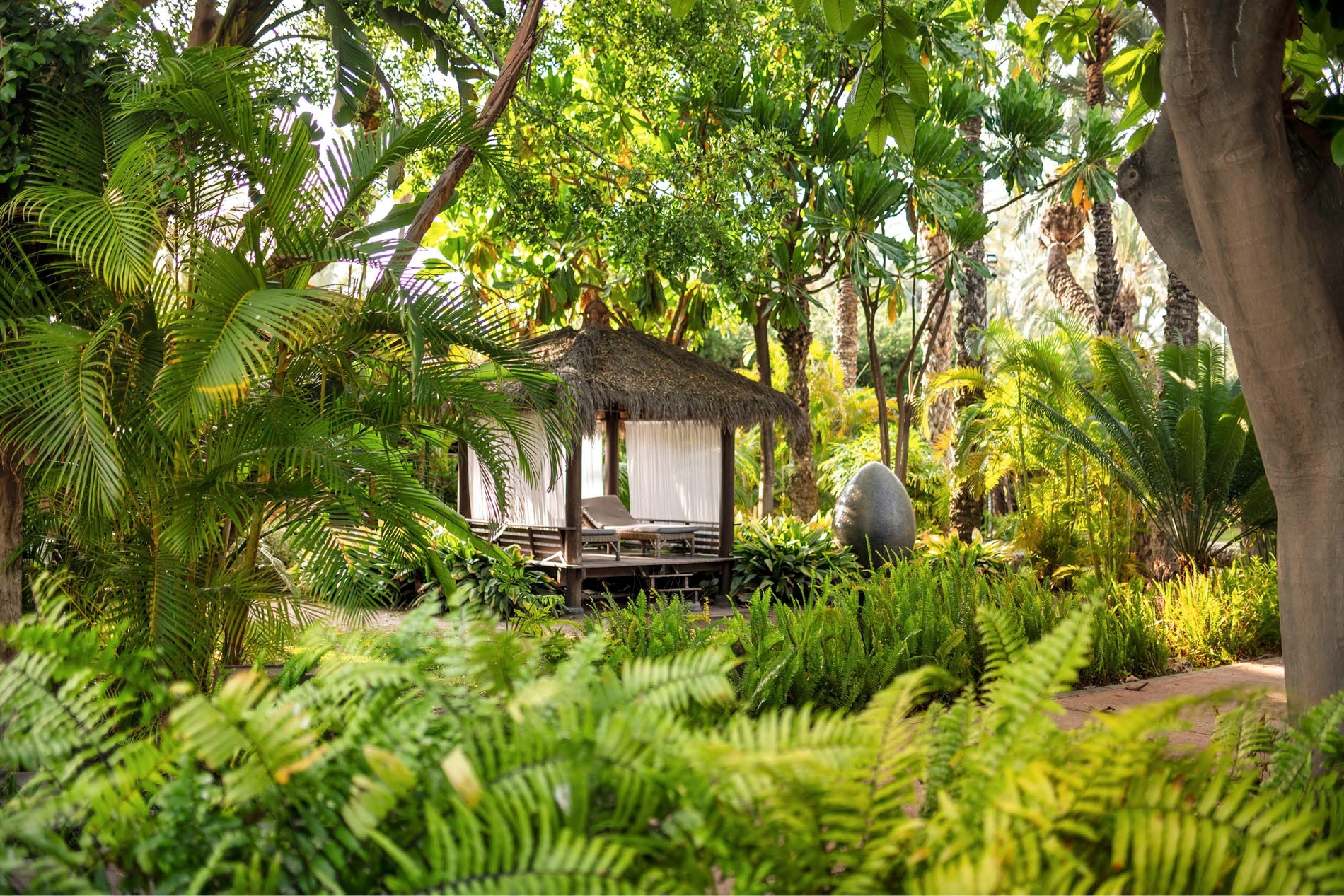 a hut in the middle of a lush green forest