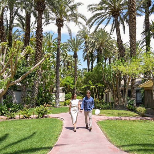 a couple walking down a path surrounded by palm trees