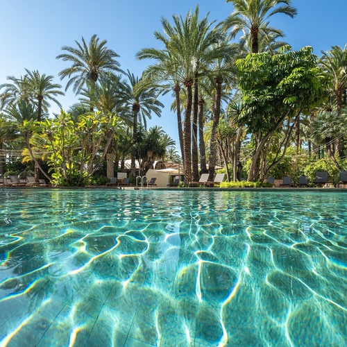 a large swimming pool surrounded by palm trees