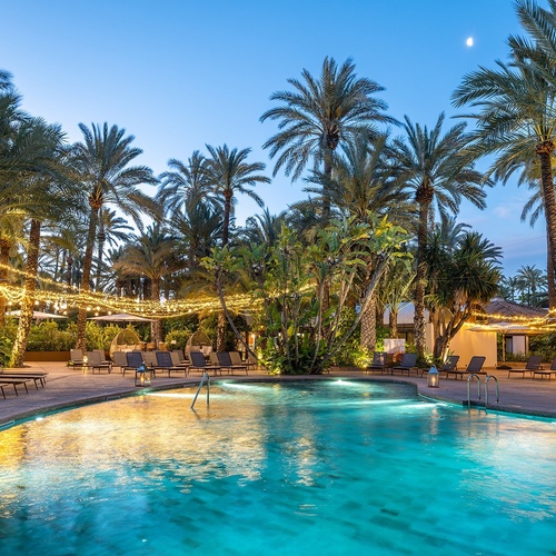 a large swimming pool surrounded by palm trees and chairs