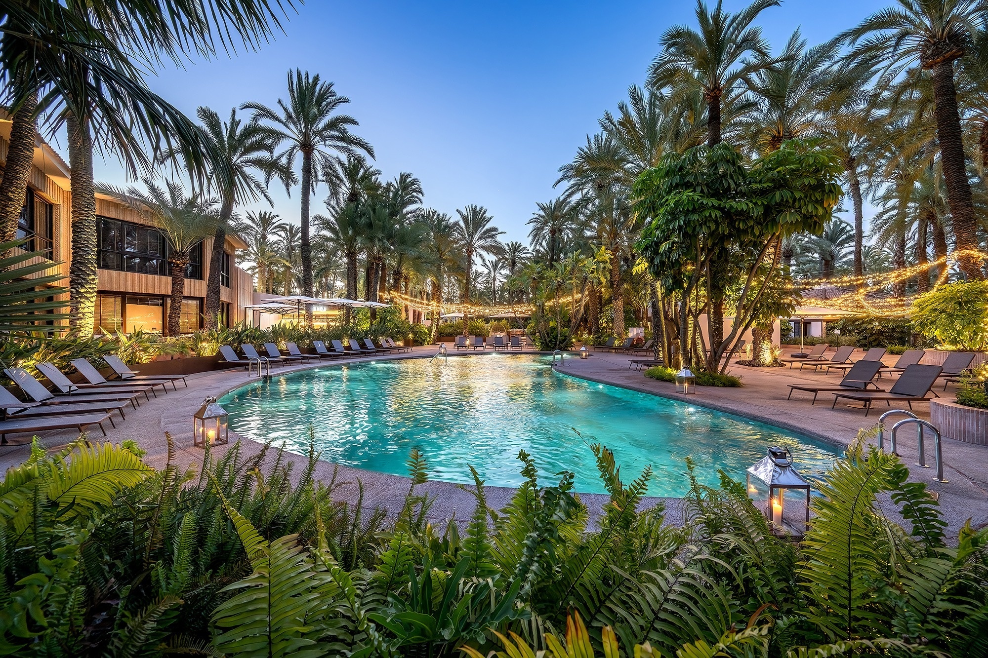 a large swimming pool surrounded by palm trees and lounge chairs