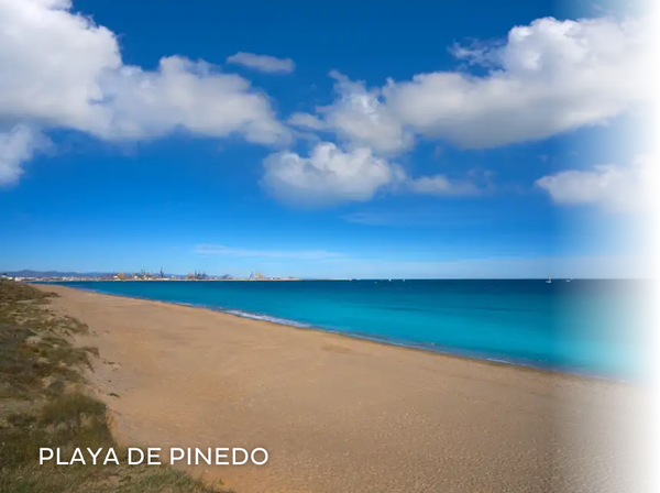 una pasarela de madera conduce a la playa al atardecer