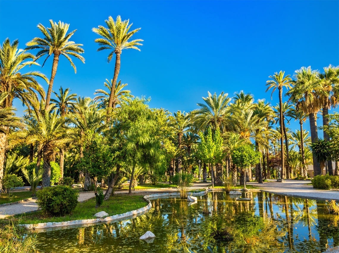 a pond in a park surrounded by palm trees