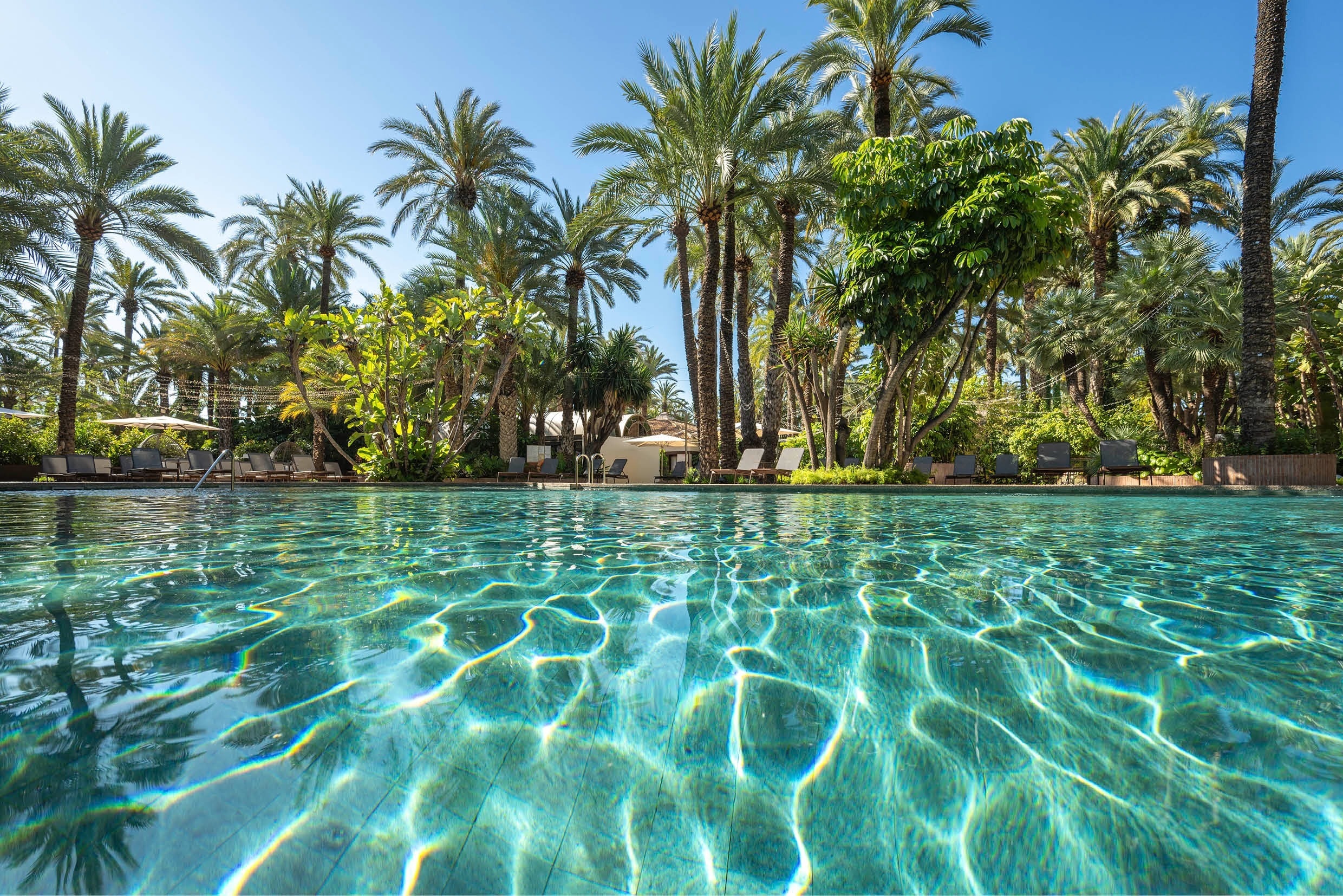 a large swimming pool surrounded by palm trees on a sunny day
