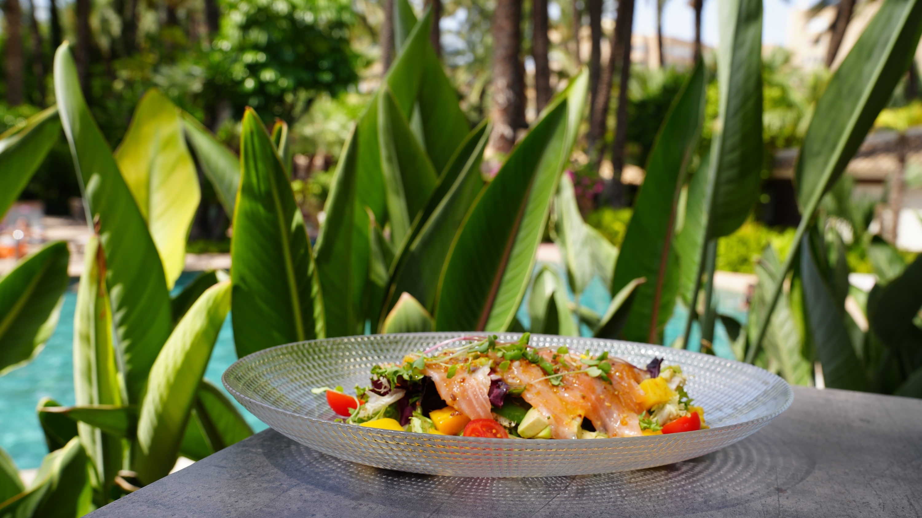 a plate of food with a plant in the background