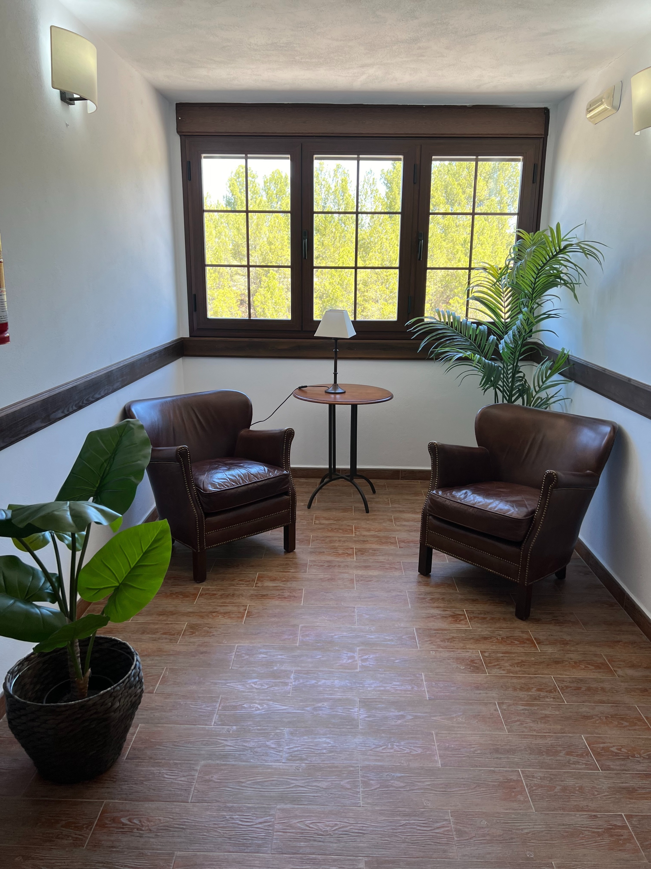 una habitación con dos sillas y una planta