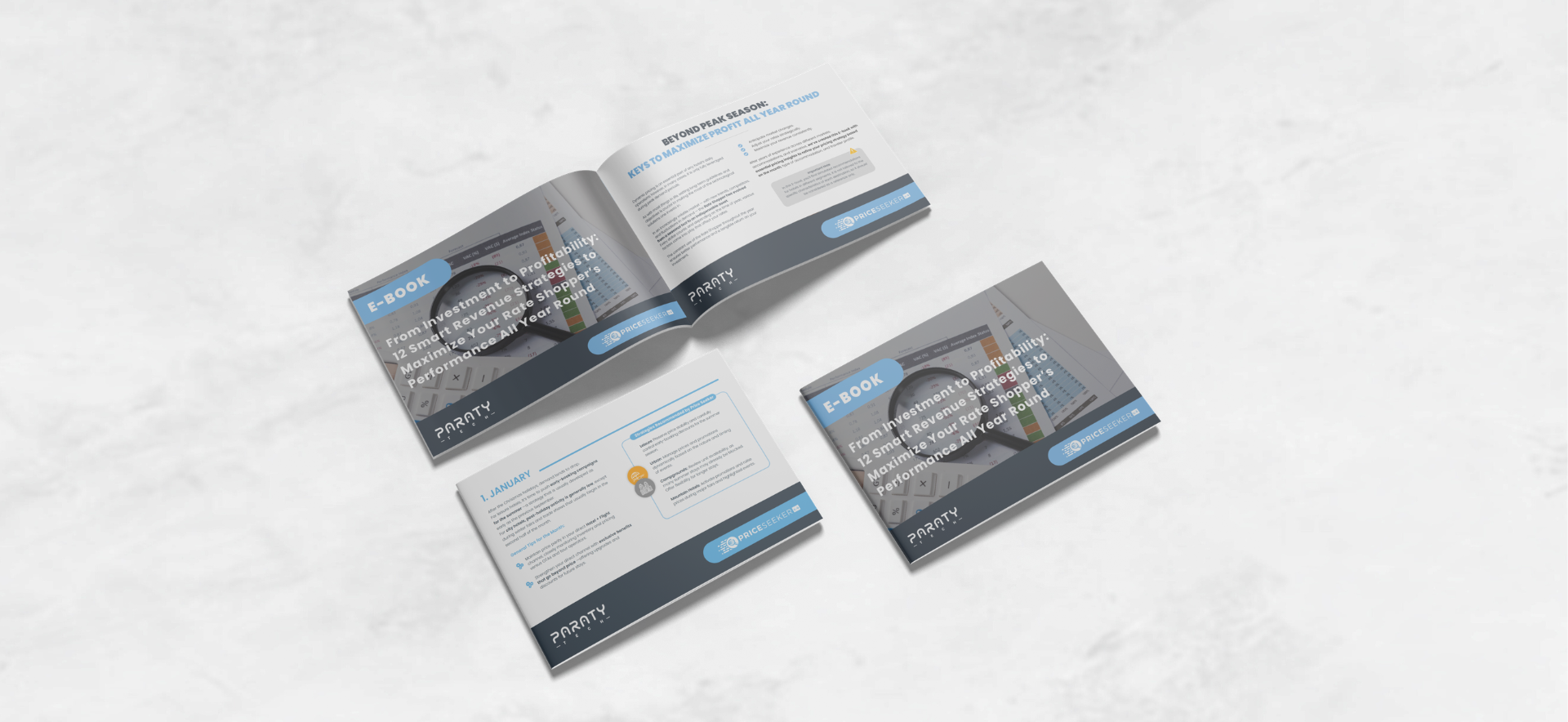 an e-book titled revenue management applied to the holiday package