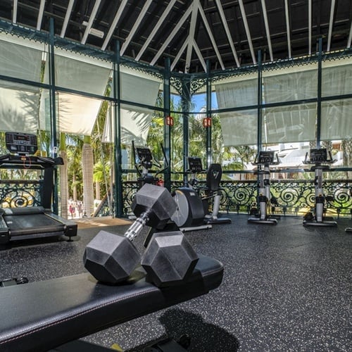 a gym with treadmills and dumbbells and a large window