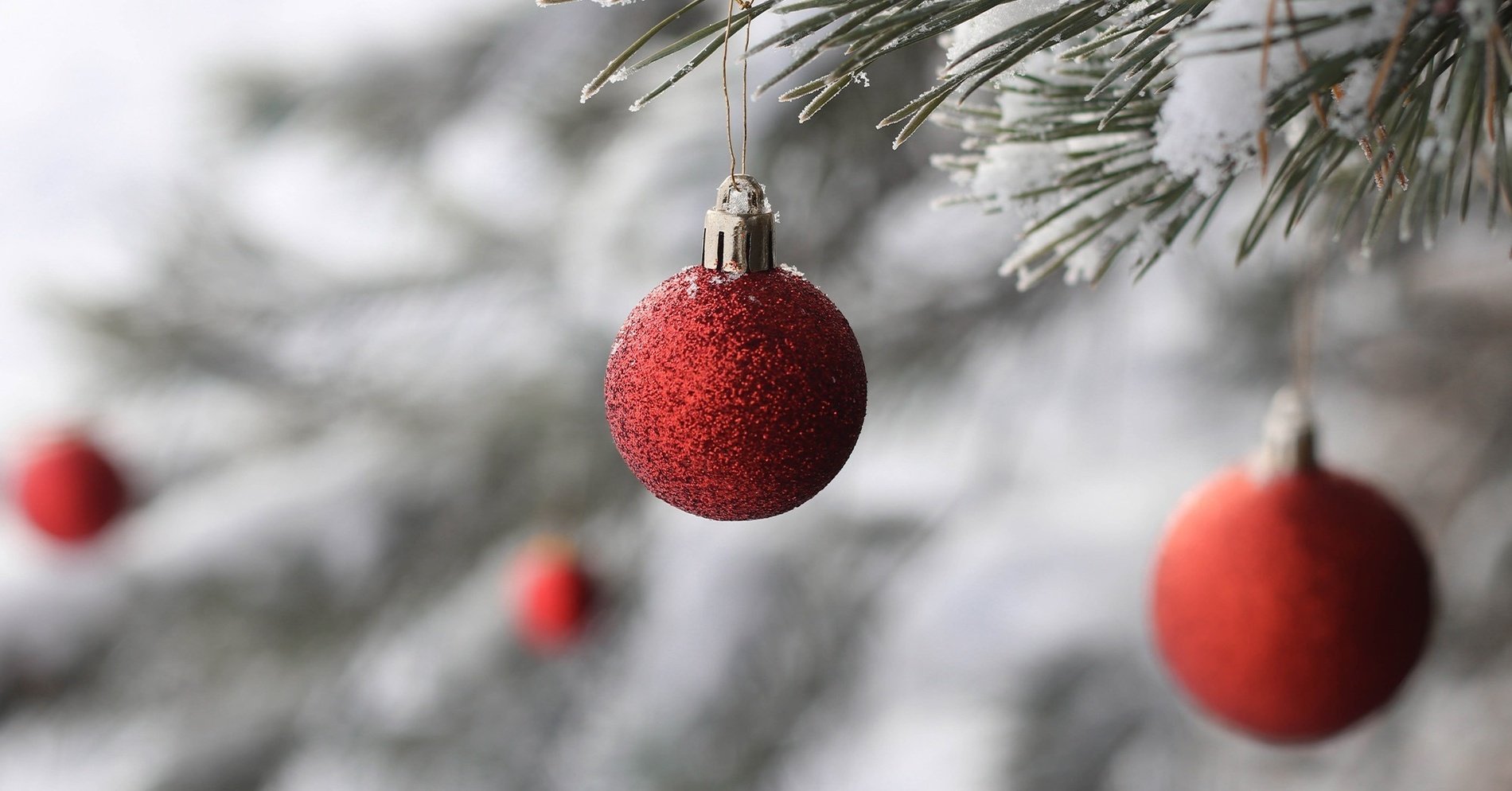 a red ornament hangs from a snowy christmas tree