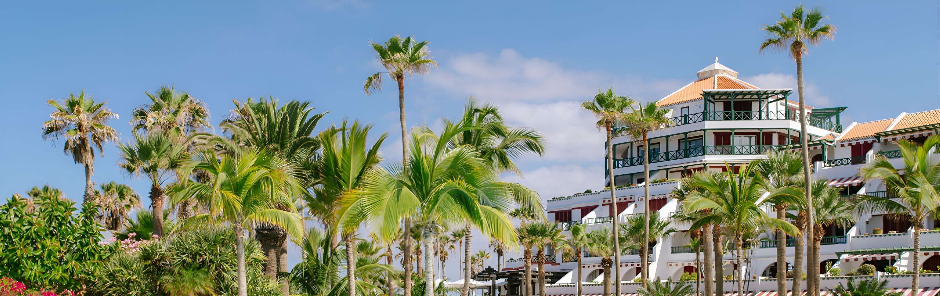 a large white building surrounded by palm trees