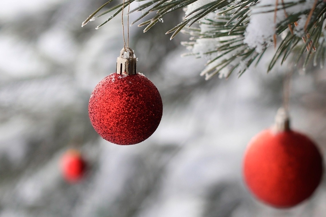 a red christmas ornament hangs from a tree branch