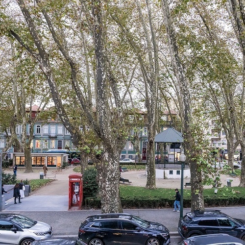 cars are parked in front of a telephone booth in a park