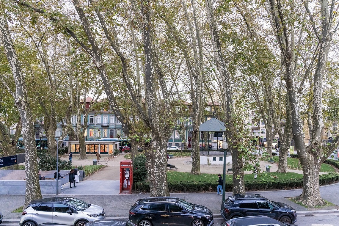 uma cabine telefônica vermelha está no meio de um parque cercado por árvores