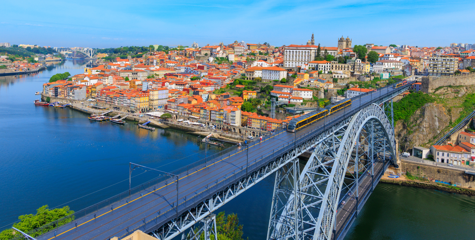 um pátio com uma piscina e uma árvore