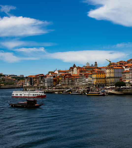 um grande corpo de água com árvores ao fundo