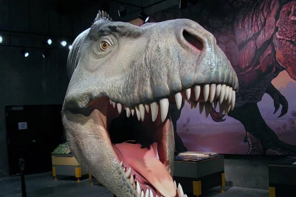 Hotel Puerta de Javalambre