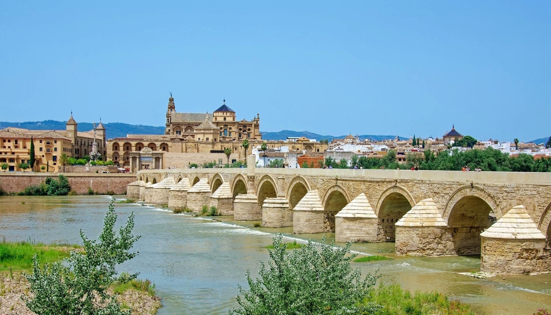 una catedral iluminada por la noche con un puente en primer plano
