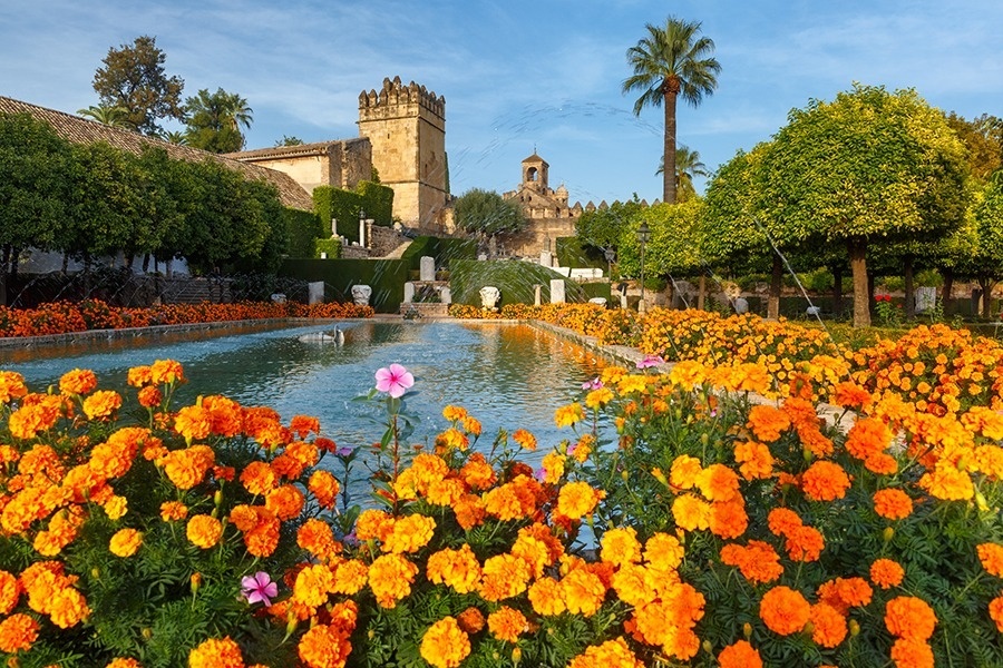 a pond surrounded by flowers with a building in the background