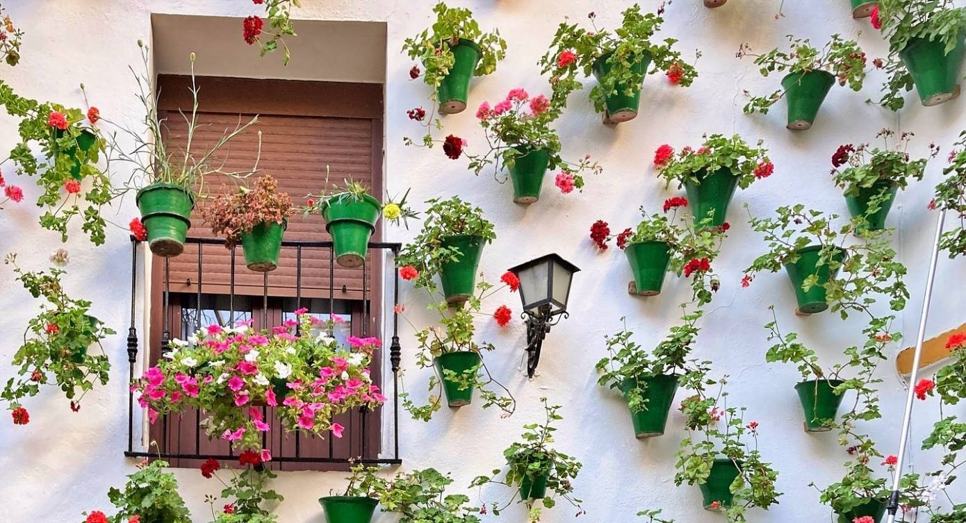 a white wall with green potted plants hanging from it