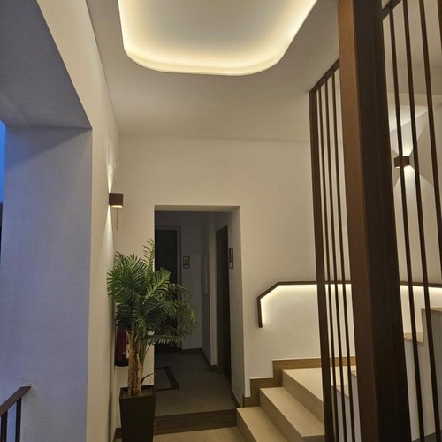 a hallway with stairs and a potted plant