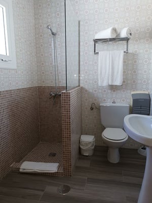 a bathroom with a toilet a sink and a shower
