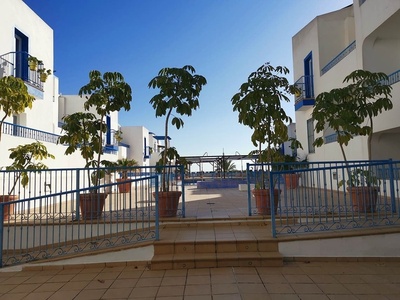 a row of white buildings with blue balconies and potted plants