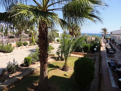 un patio con palmeras y sillas en un día soleado - 