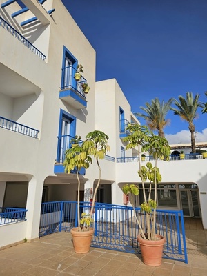 un edificio blanco con balcones azules y plantas en macetas