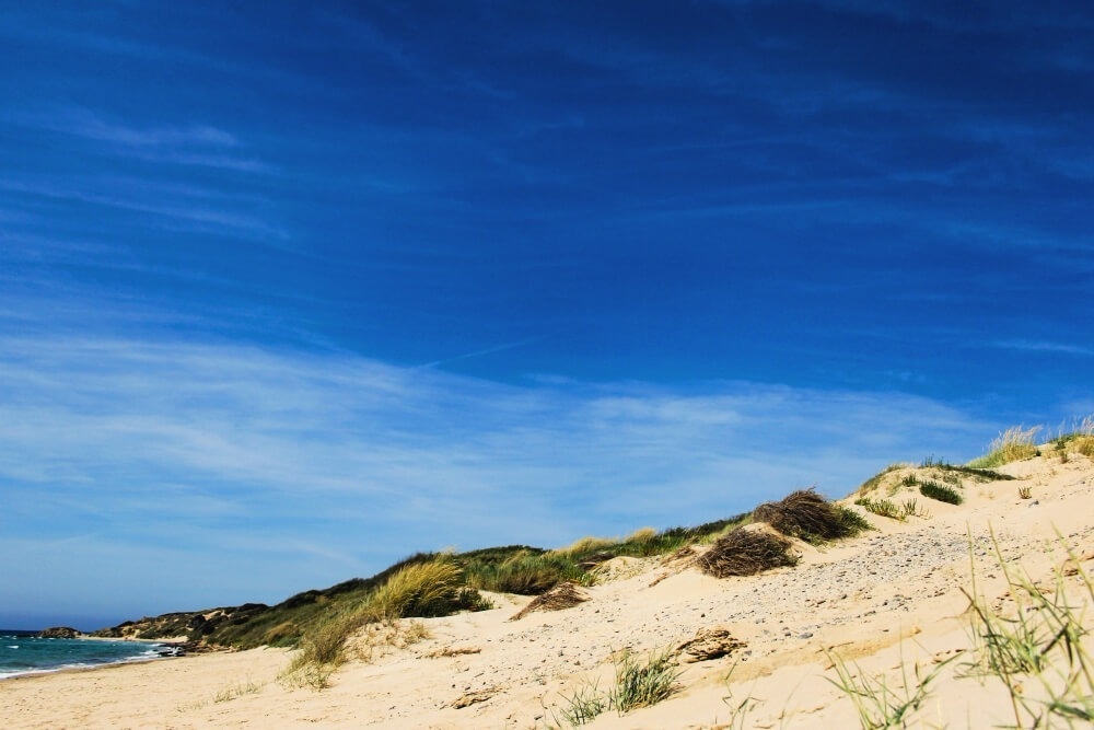 una playa con dunas de arena y un cielo azul