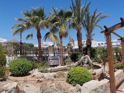 un jardín con palmeras y un cartel que dice restaurante - 