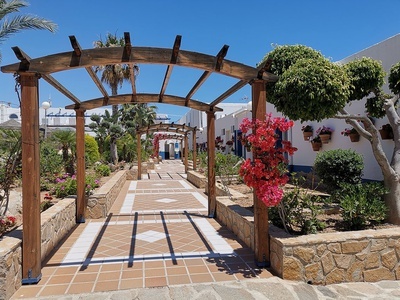 un patio con una pérgola de madera y flores rosas - 