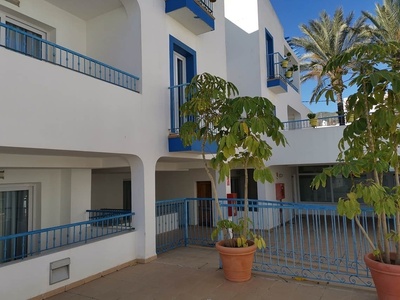 a white building with blue balconies and a plant in front of it
