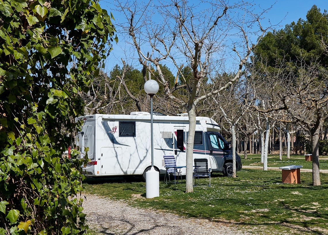 una furgoneta blanca está estacionada en un parque rodeado de árboles