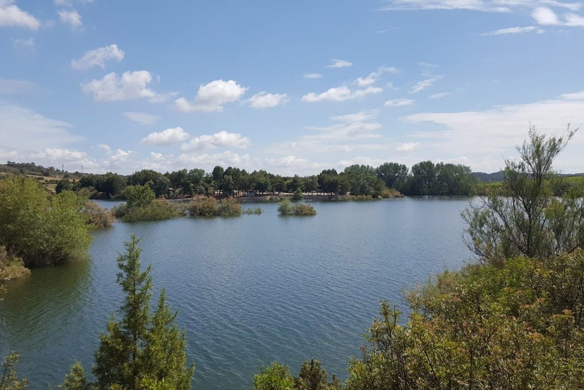 un lago rodeado de árboles y arbustos en un día soleado