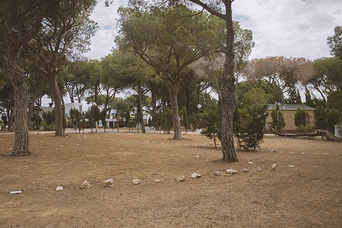 TAIGA | Campings & Resorts