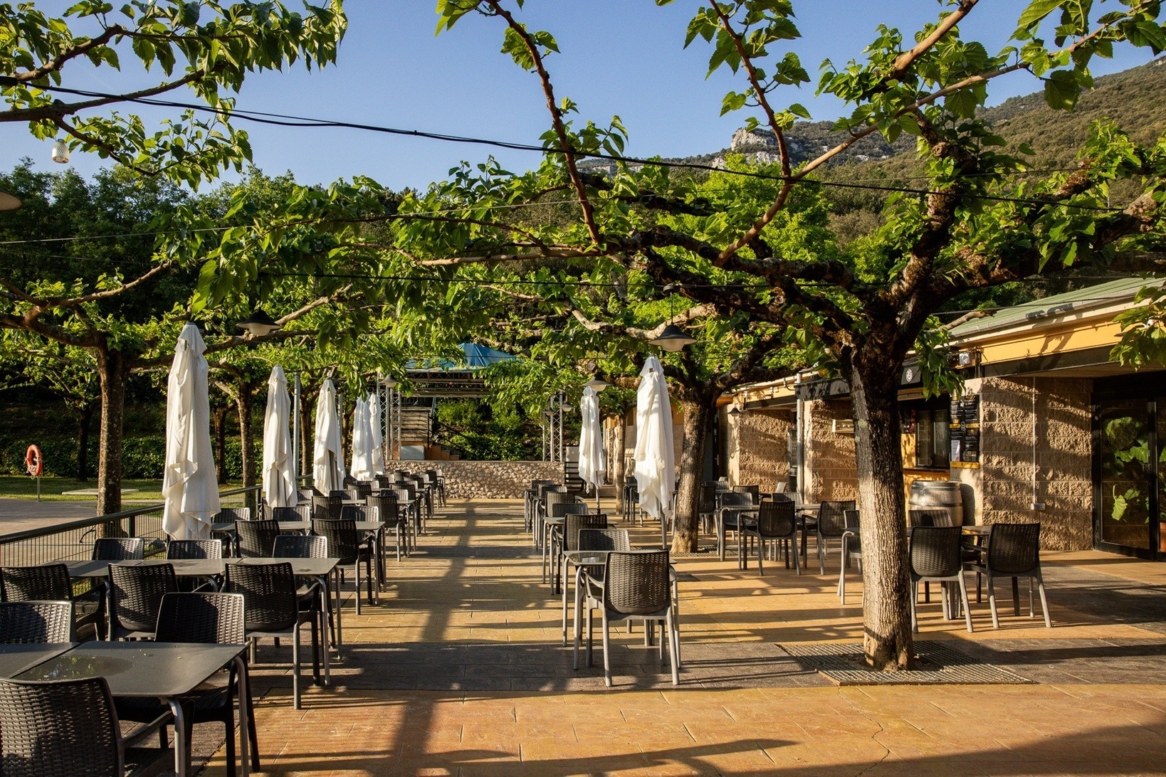 Terraza de Taiga: Corporativa con mesas, sillas y sombrillas bajo árboles frondosos.