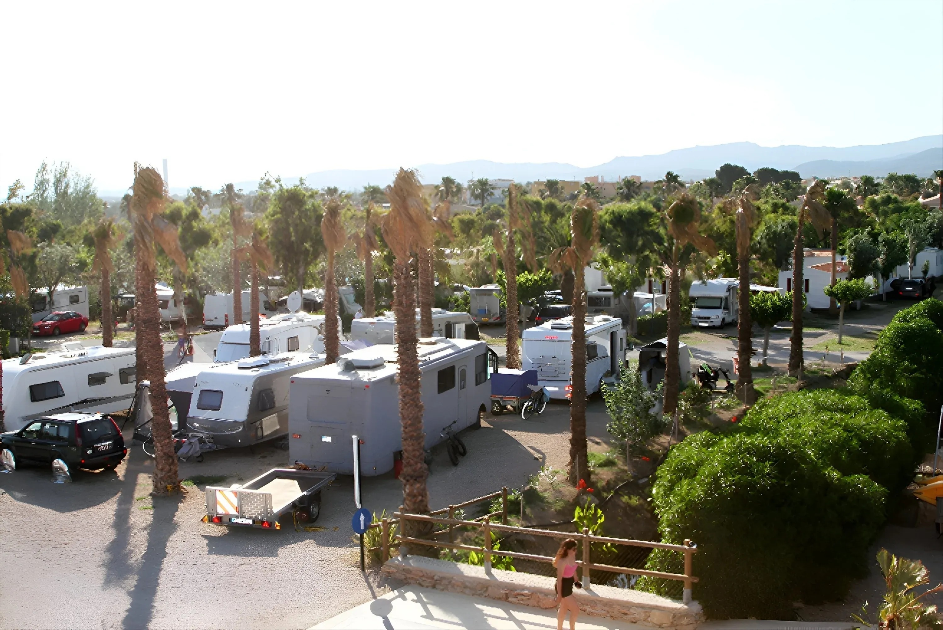 een groep caravans staat geparkeerd in een park met palmbomen