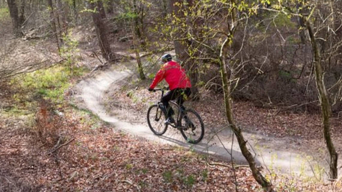 une personne monte un vélo sur un sentier forestier .