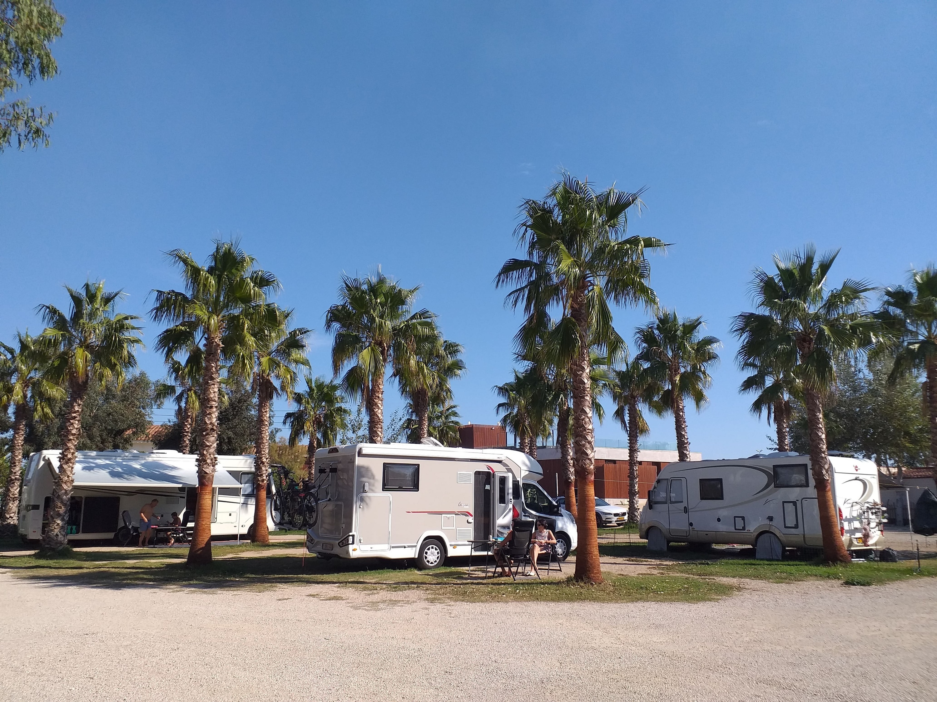 een witte rv staat geparkeerd in een veld met palmbomen