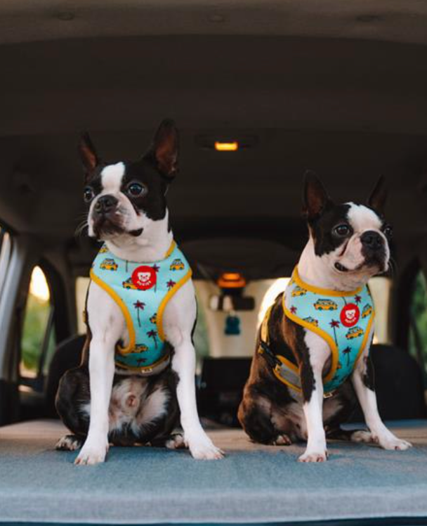 TAIGA | Campings & Resorts